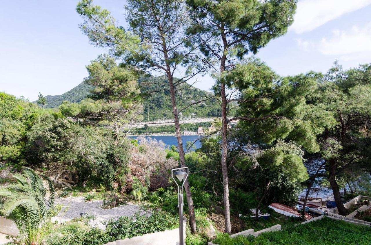 Apartments Vinko Sobra الغرفة الصورة