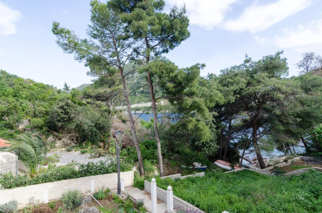 Apartments Vinko Sobra الغرفة الصورة